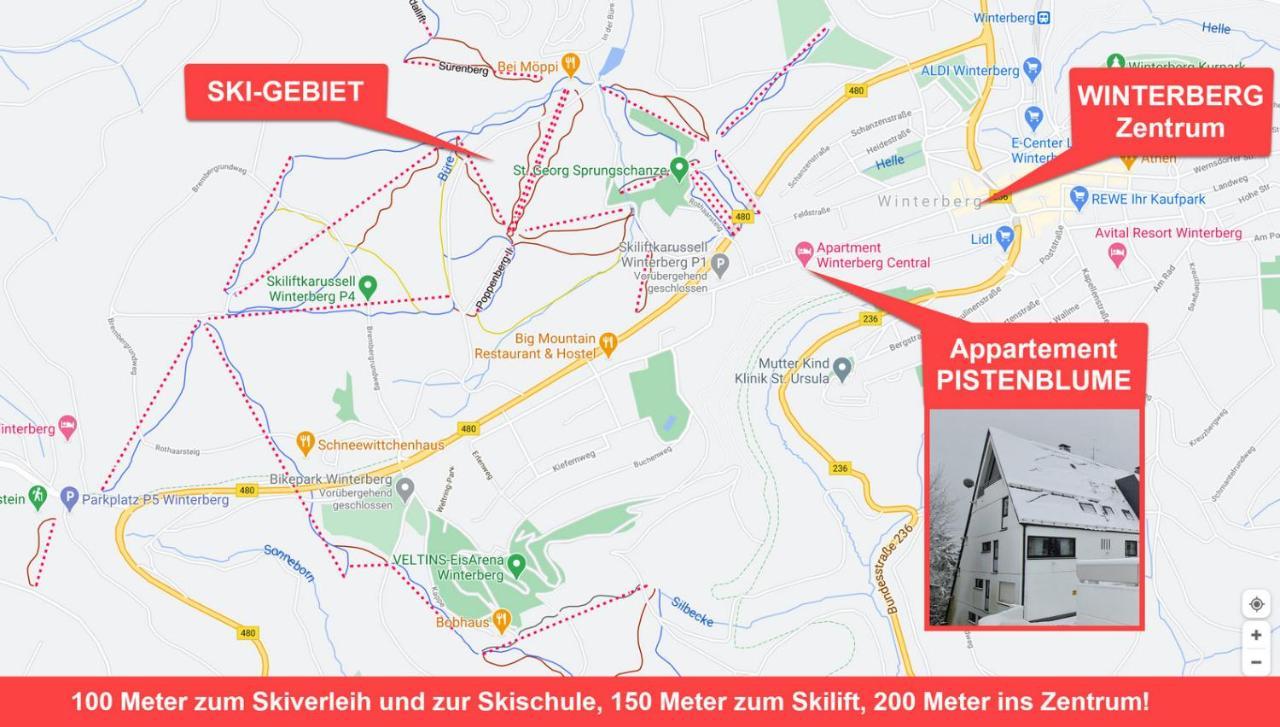 Pistenblume Apartment - Skipiste, Stadtzentrum Winterberg Eksteriør bilde