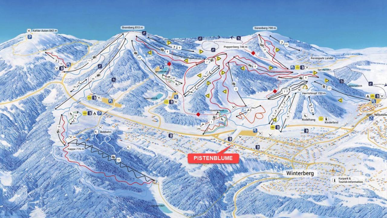 Pistenblume Apartment - Skipiste, Stadtzentrum Winterberg Eksteriør bilde
