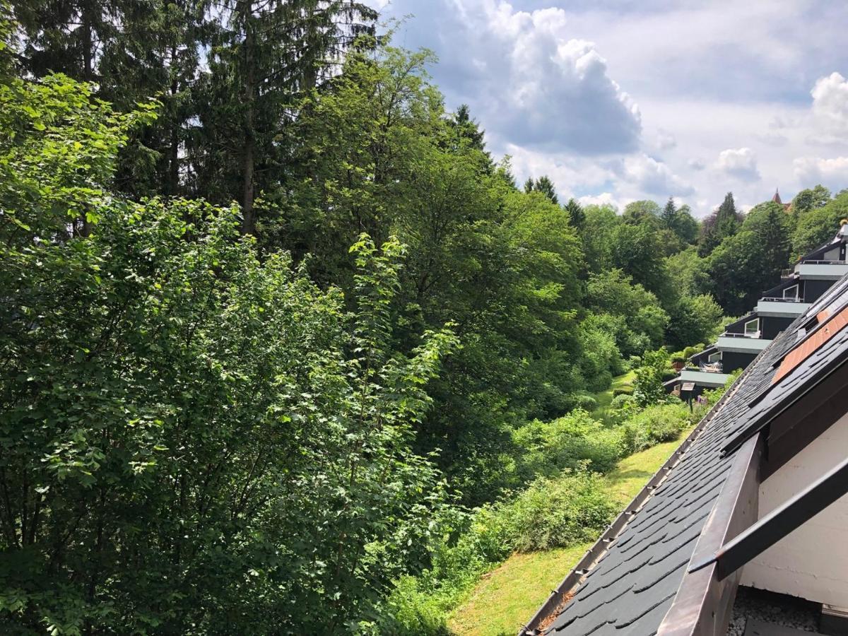 Pistenblume Apartment - Skipiste, Stadtzentrum Winterberg Eksteriør bilde